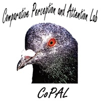 Comparative Perception and Attention Laboratory