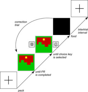 Figure-ground segregation – Comparative Perception and Attention Laboratory